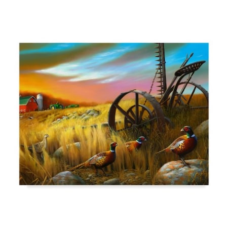 Leo Stans 'Pheasants I' Canvas Art,18x24